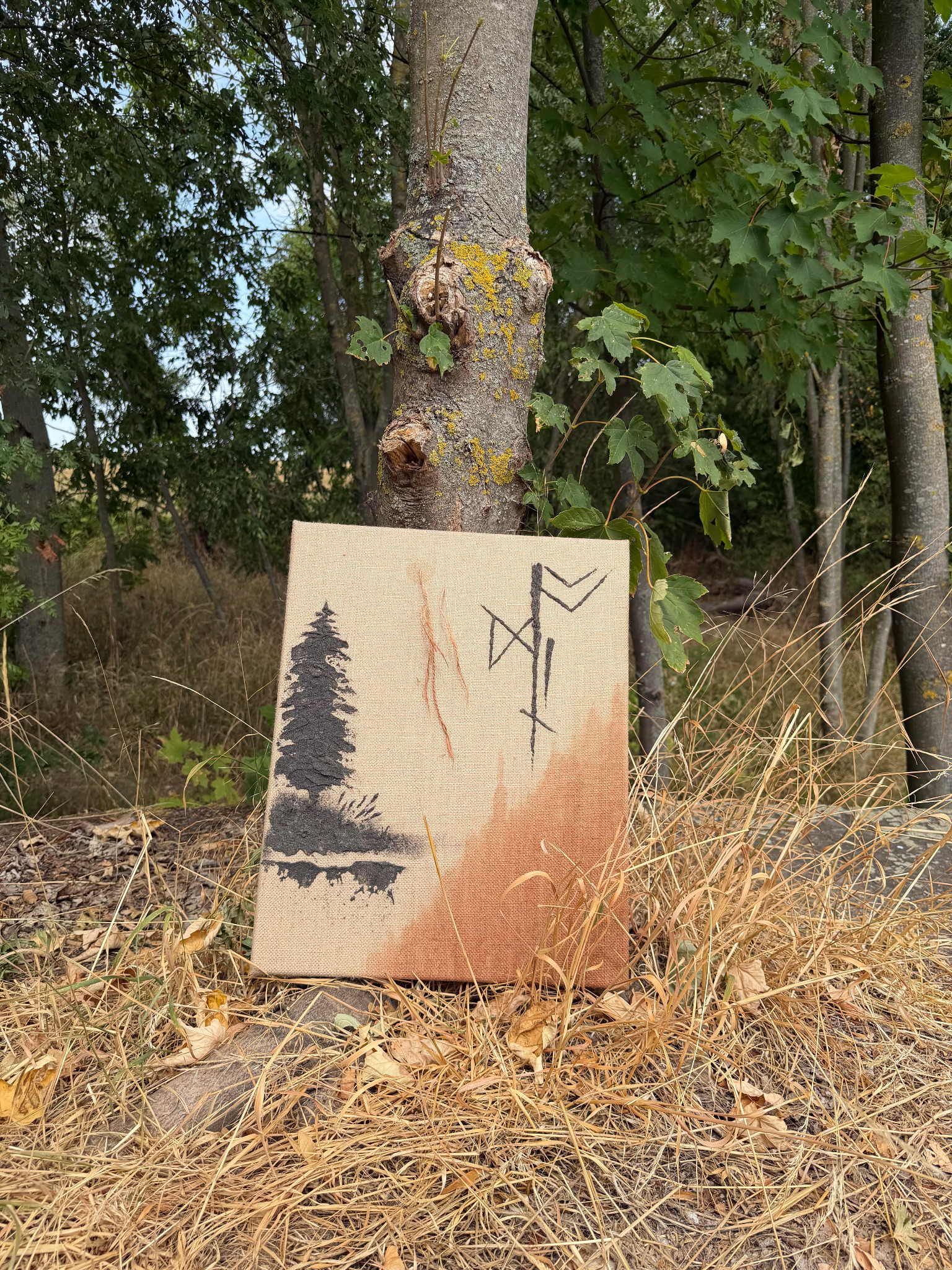 Eigene Eco-Art-Arbeit mit schwarzem Baum, feinen Zeichen und erdigen Farbspuren vor einem Baum im Wald