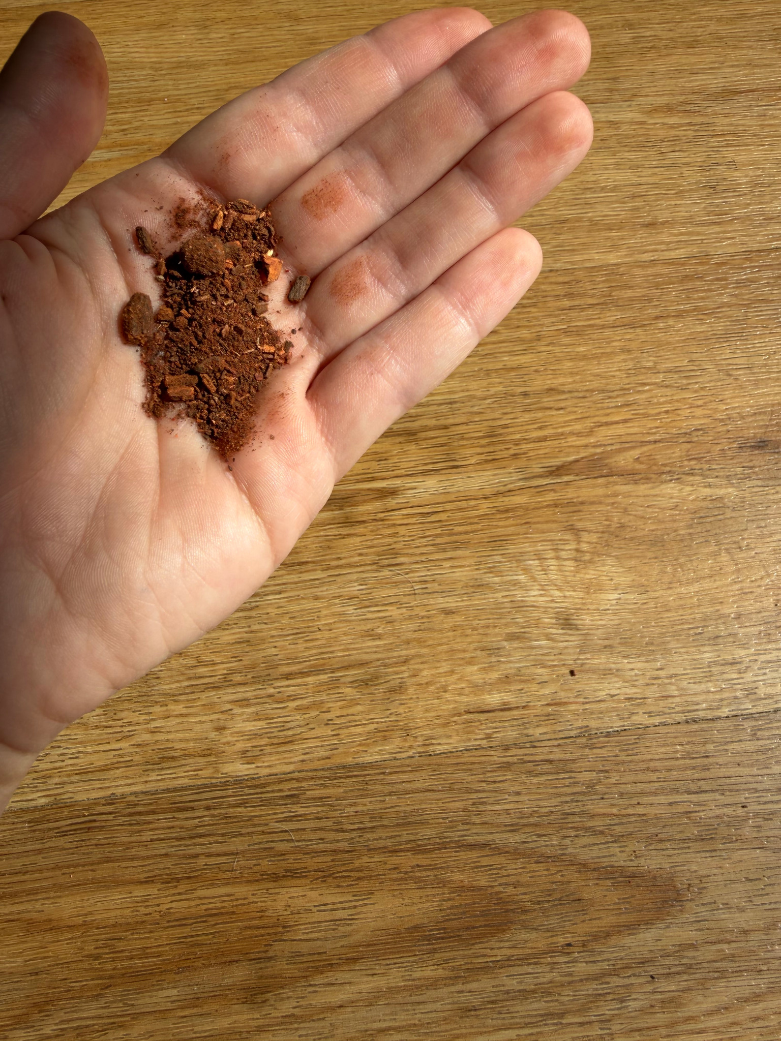 Braun-rotes Pigment in einer Handfläche bei Sonnenlicht